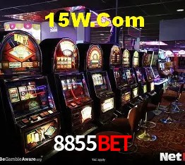 Estatísticas 8855Bet