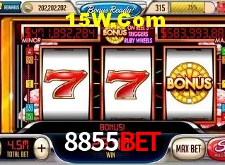 Recursos de Bônus 8855Bet