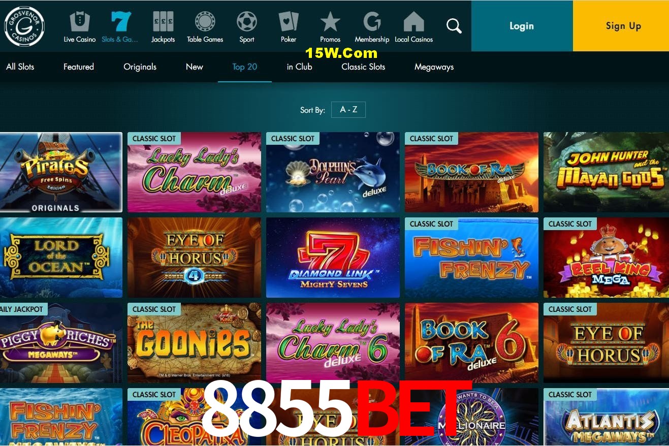 Player Reviews 8855Bet